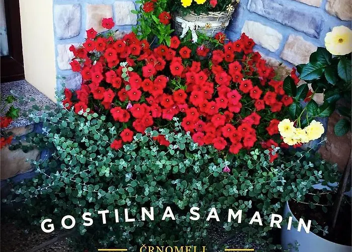 بيت ضيافة Samarin 3*